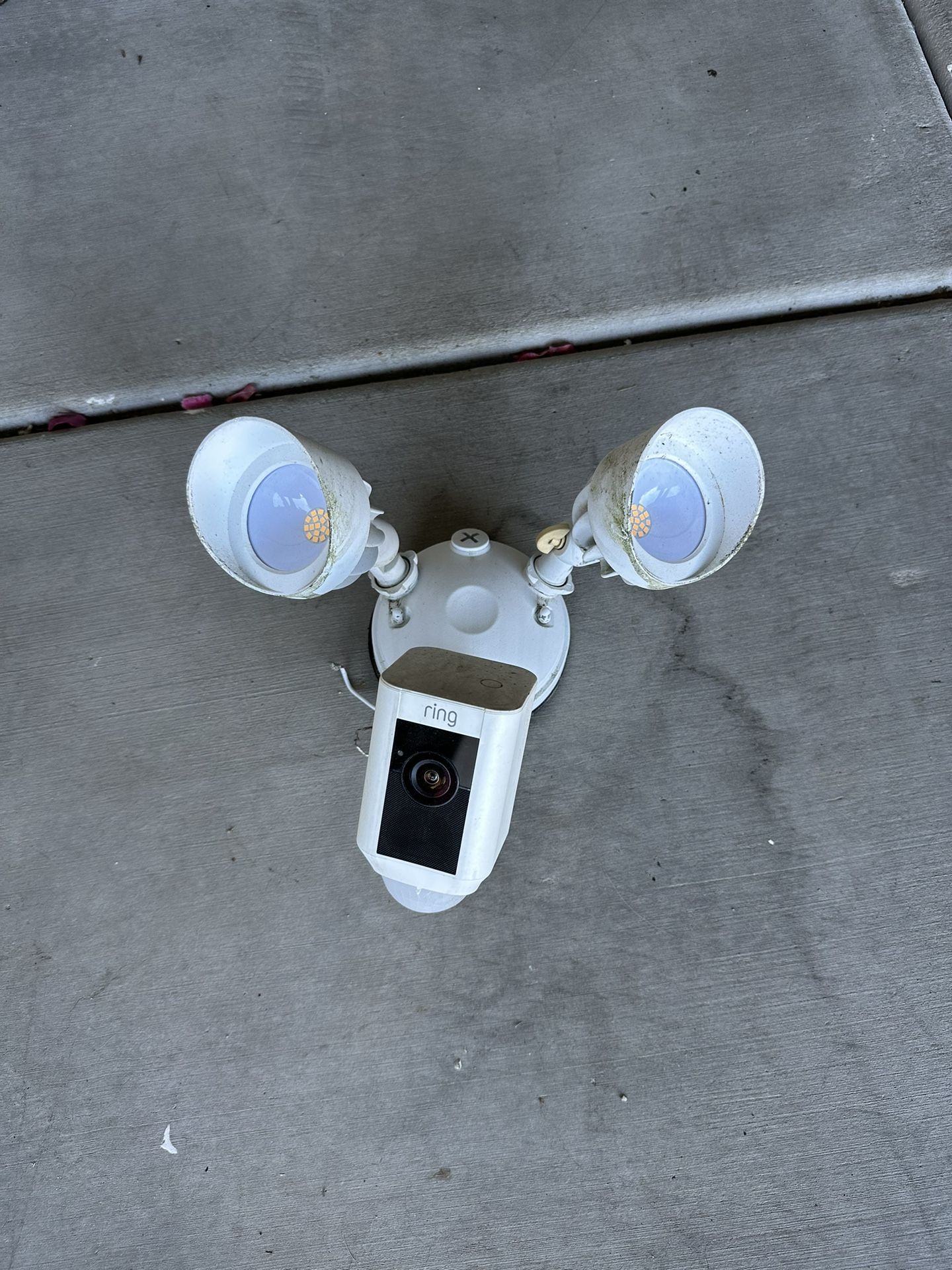 Ring Flood Light for Sale in Queen Creek, AZ OfferUp