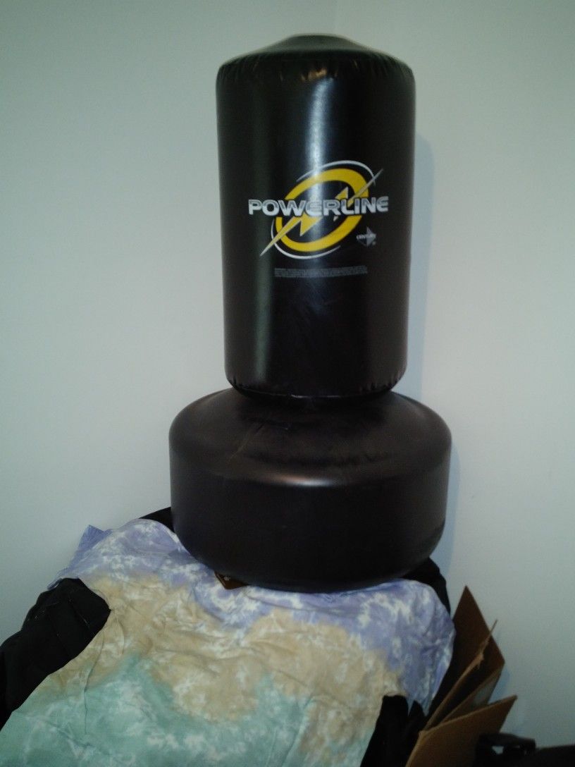 Century Powerline Wavemaster Jr.