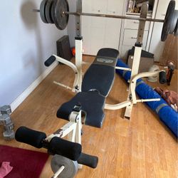 Bench With 50 Pound Plates 