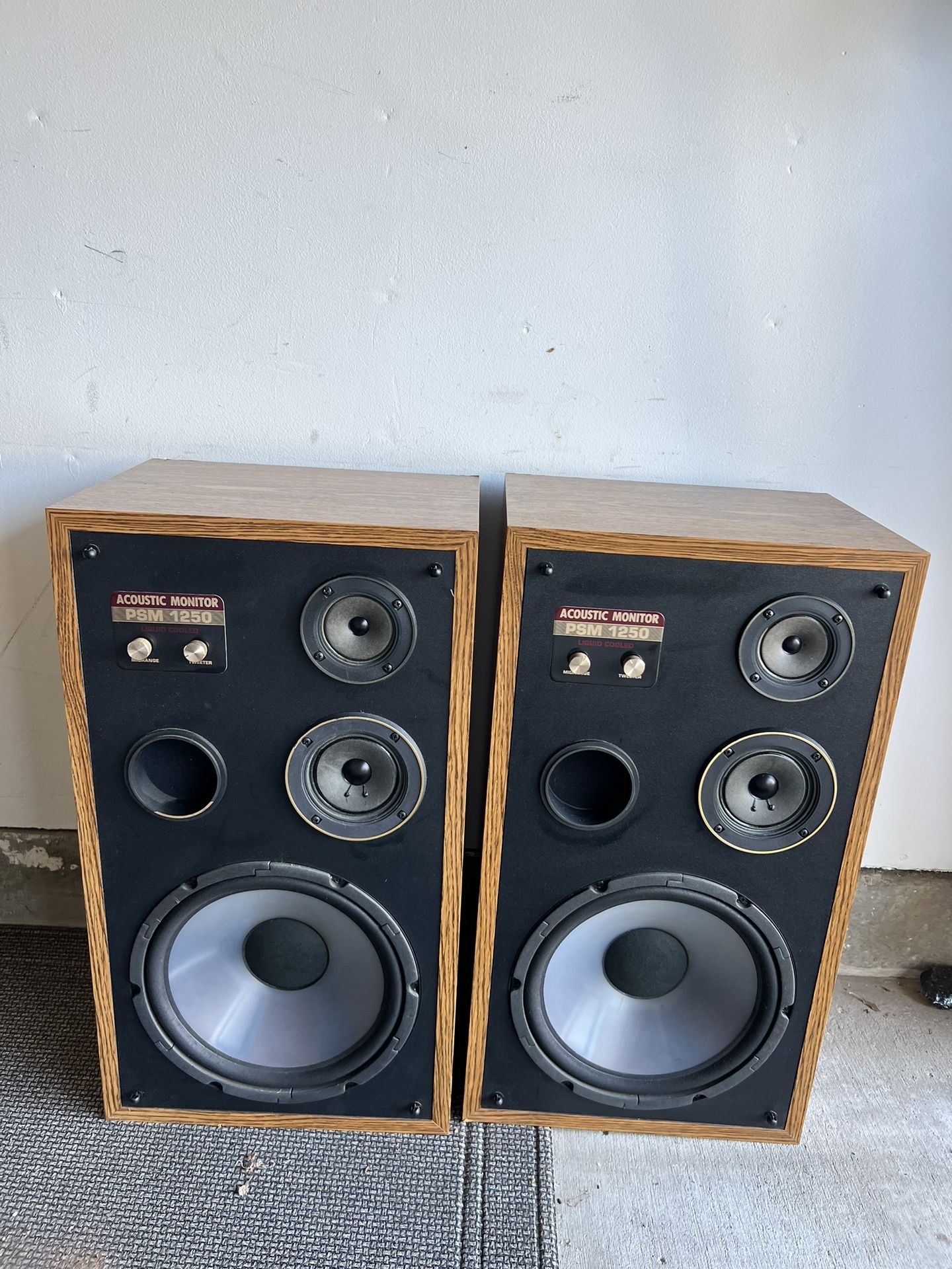 Acoustic monitor PSM – 1250 speakers