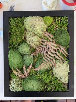 16x13 Moss Art