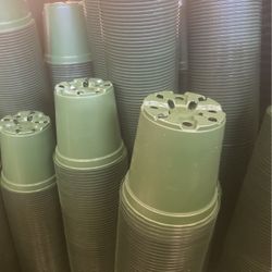 1 Gallon Plastin Nursery Pots 