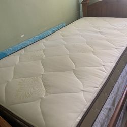 FREE 2 Twin Mattresses 