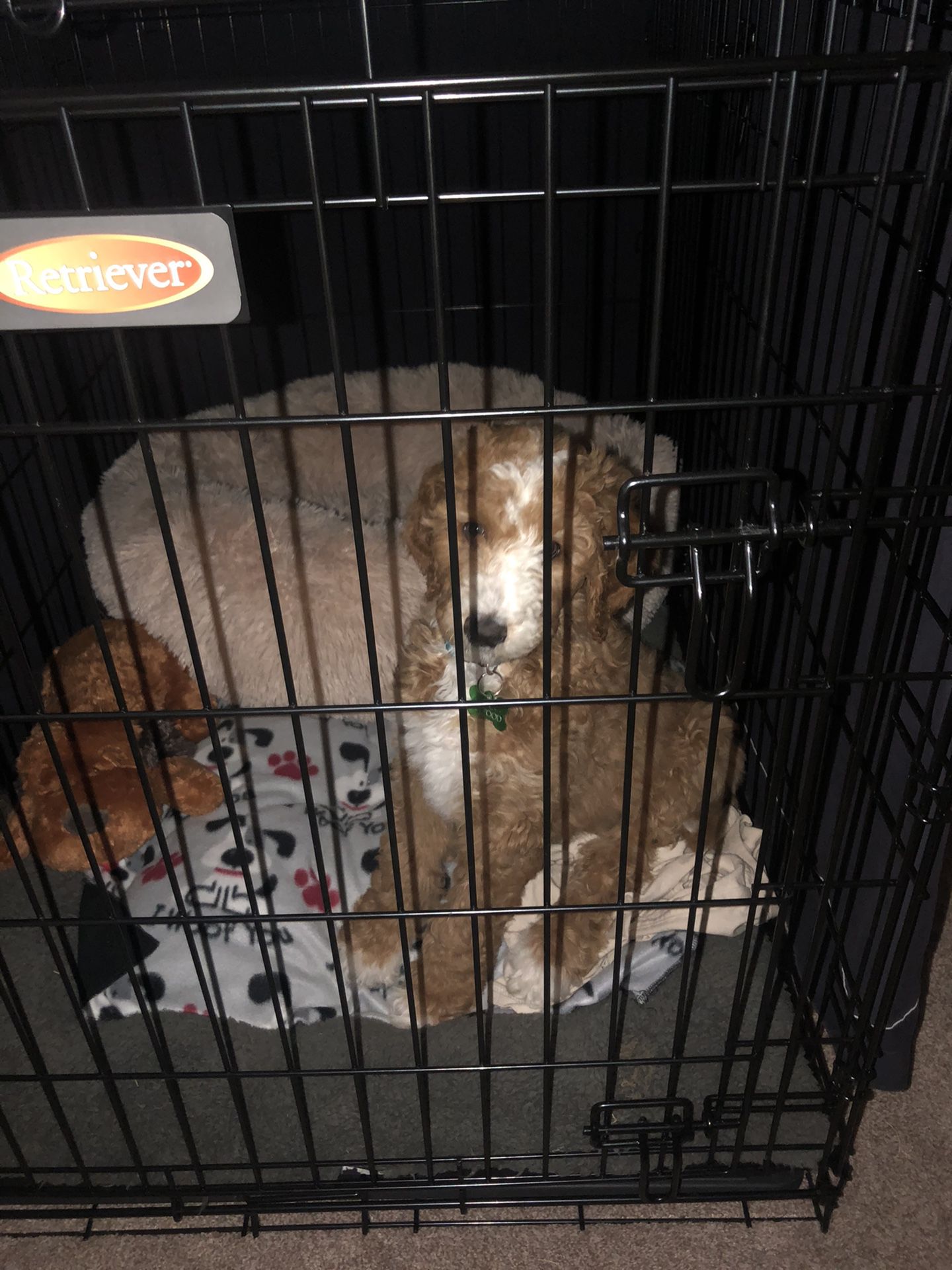 Dog Crate, Extra Large- Retriever Size 
