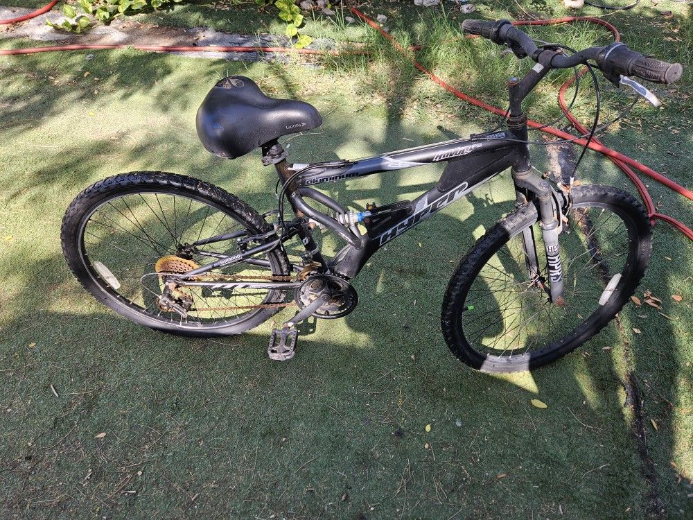 Mountain bike