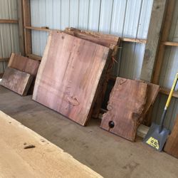 Whole Shop Full Of Live Edge Wood Slabs 