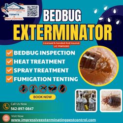 For bedbug Damage 