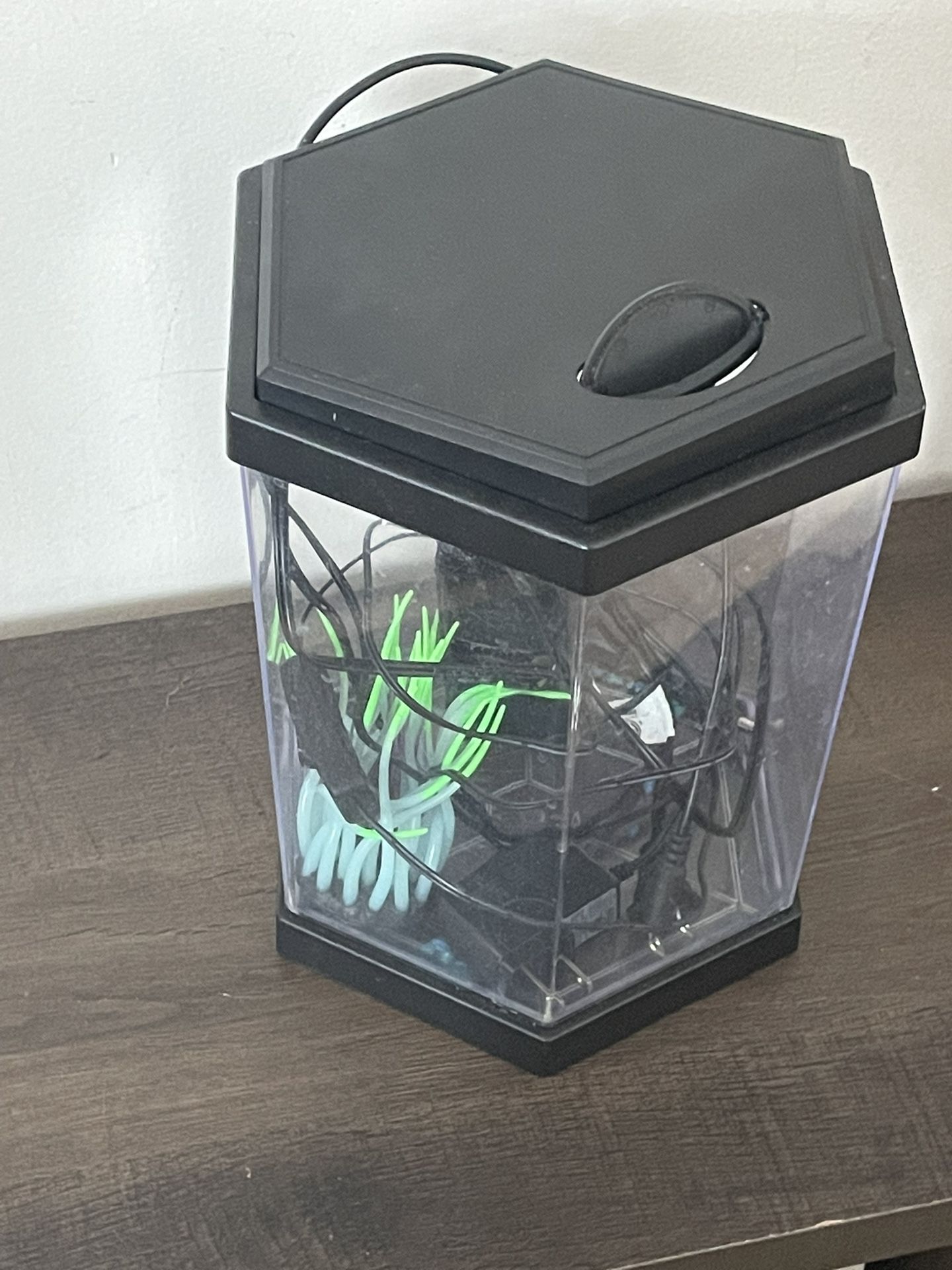 2 Gallon Fish Tank