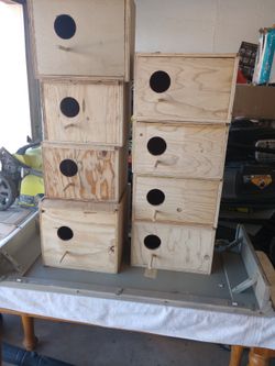 Nidos. Para Cacatuas 