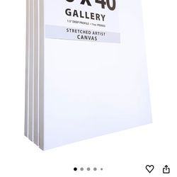 30x 40 Artist Canvas  