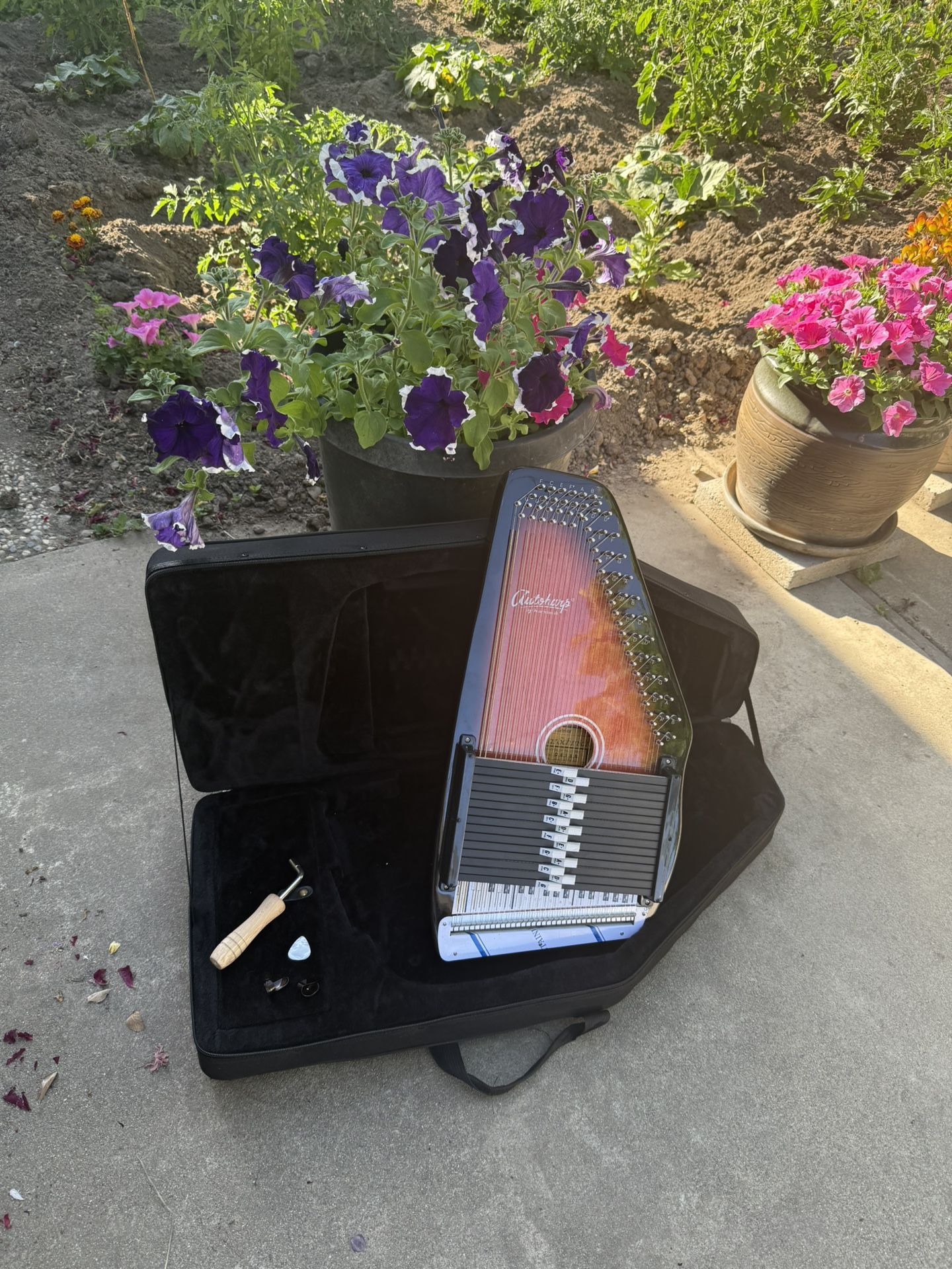 Beautiful 😻 Oscar Schmidt OS15B Autoharp : Musical Instruments-