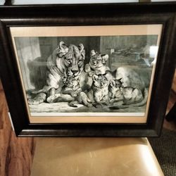 ANTIQUE ENGRAVING BY SAMUEL CARTER SEPTEMBER 1881" LIONESS AND CUBS"MATTED AND GALLERY FRAMED WITH GLASS COVER DUST COVER ON BACK WITH HANGING WIRE
