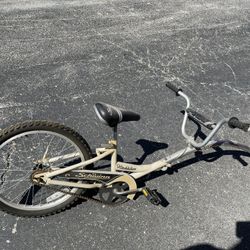 Schwinn Trailer Bike