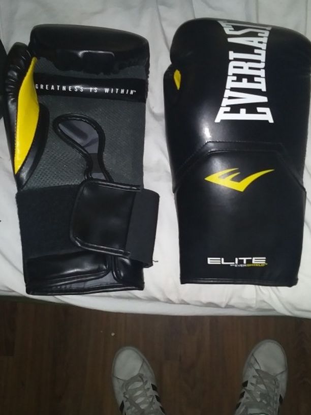 Everlast Boxing Gloves 20$