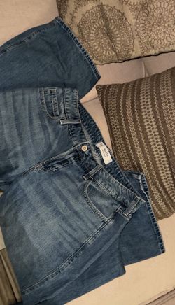 Hollister Low Rise Baggy Jean