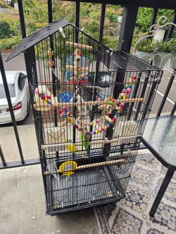 Large Black Bird Cage with Accessories