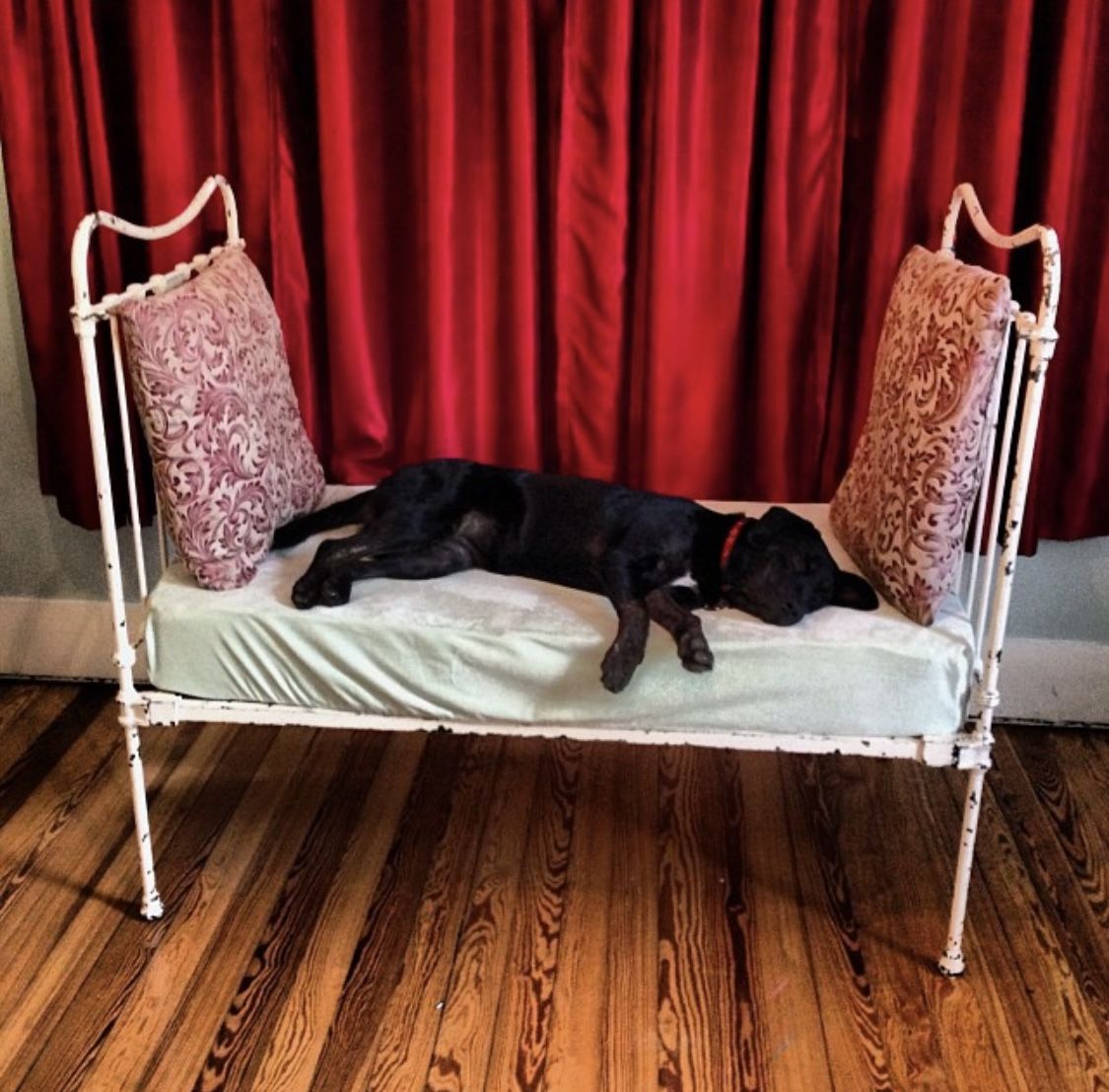 Early 19th century antique wrought iron baby crib, bench, daybed, Victorian sofa, yard art, dog bed, patio furniture