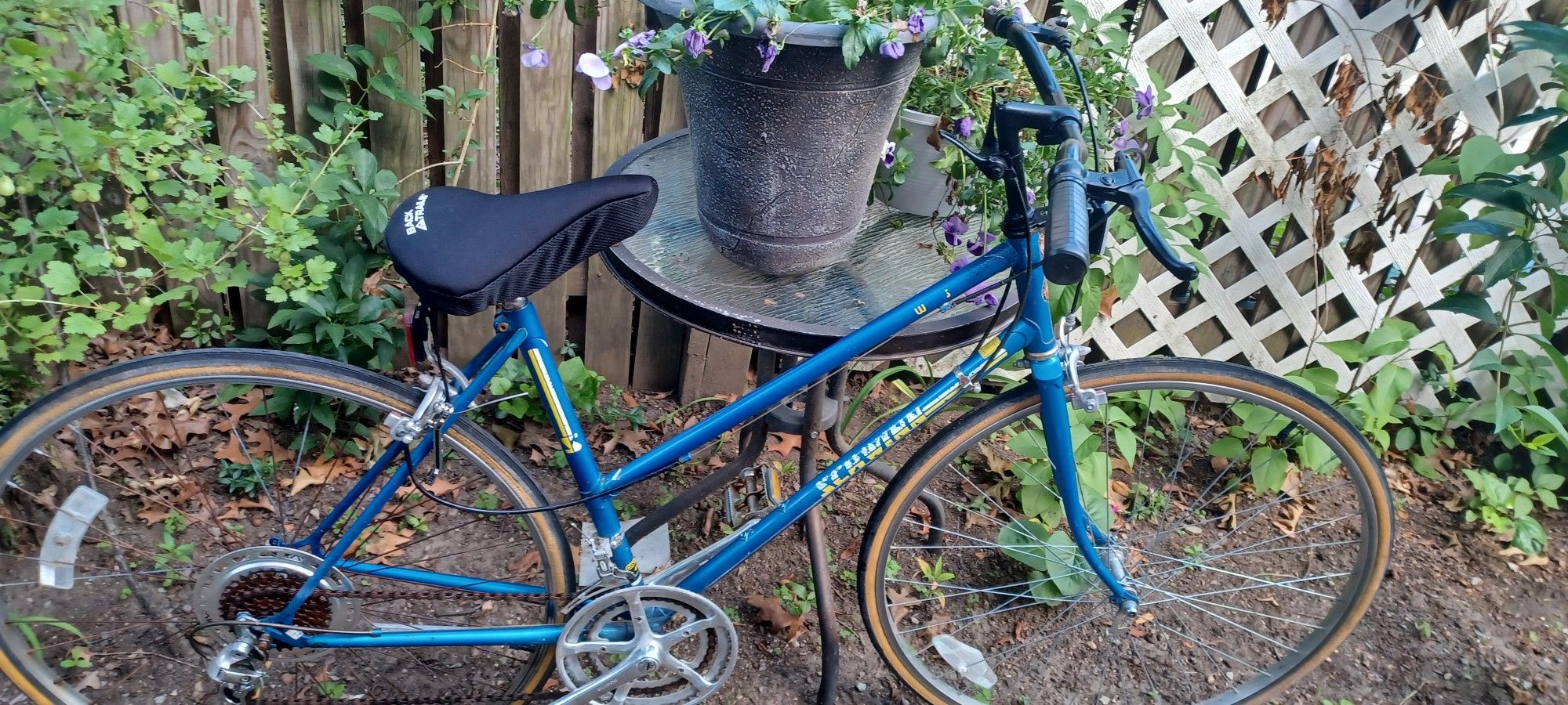 Bicycle 26