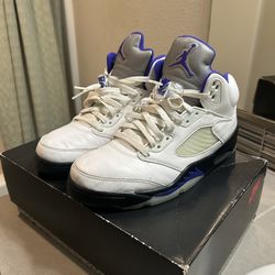 Jordan 5 grape