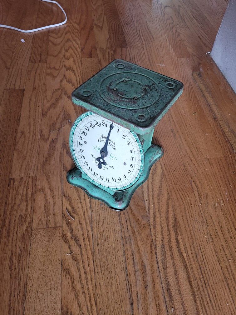 vintage American Family Scale