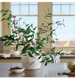 Magnolia Large Vase