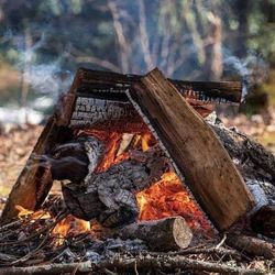 Firewood/ leña