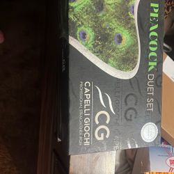 Professional Hair Straightener - Like New