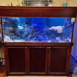 150 Saltwater Aquarium 