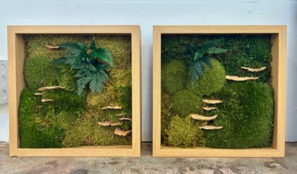 Preserved Moss Wall Art Panels – Set of 2