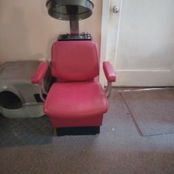 Vintage Beauty Salon Chair 