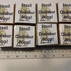 Fossil Dinosaur Poops! (Small Sizes)