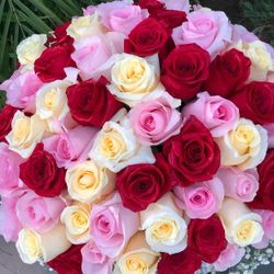 Valentines Roses 🌹 ❤️