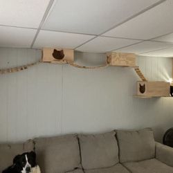 Cat Walk - Cat Toy - Handmade 