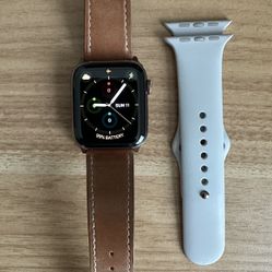 Apple Watch Stainless Steel Series 5 