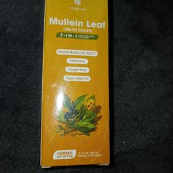 Mullein Leaf