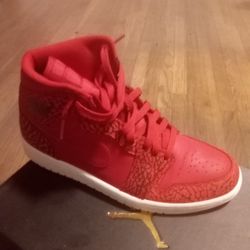 Rare Jordan 1 Cement 