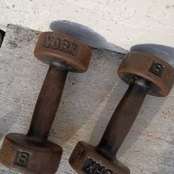 8 Pound Weights