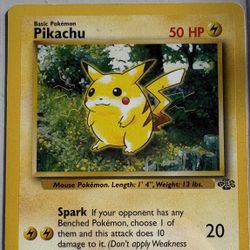 Pikachu Jungle
