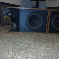 Bose 301 Series II