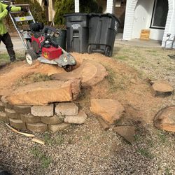 Stump Grinding 