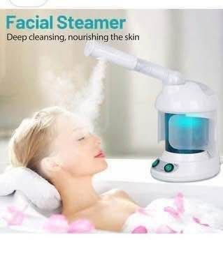 New 2 in 1 Portable Face Steamer and Hair Steamer, Ozone Steamer Humidifier, Vaporizador Facial Steamer