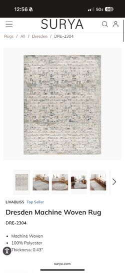 Dresden Machine Woven Rug 7'10" x 0'2"