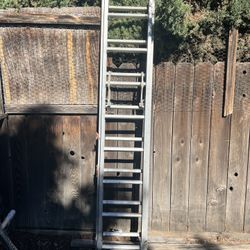 Ladder 