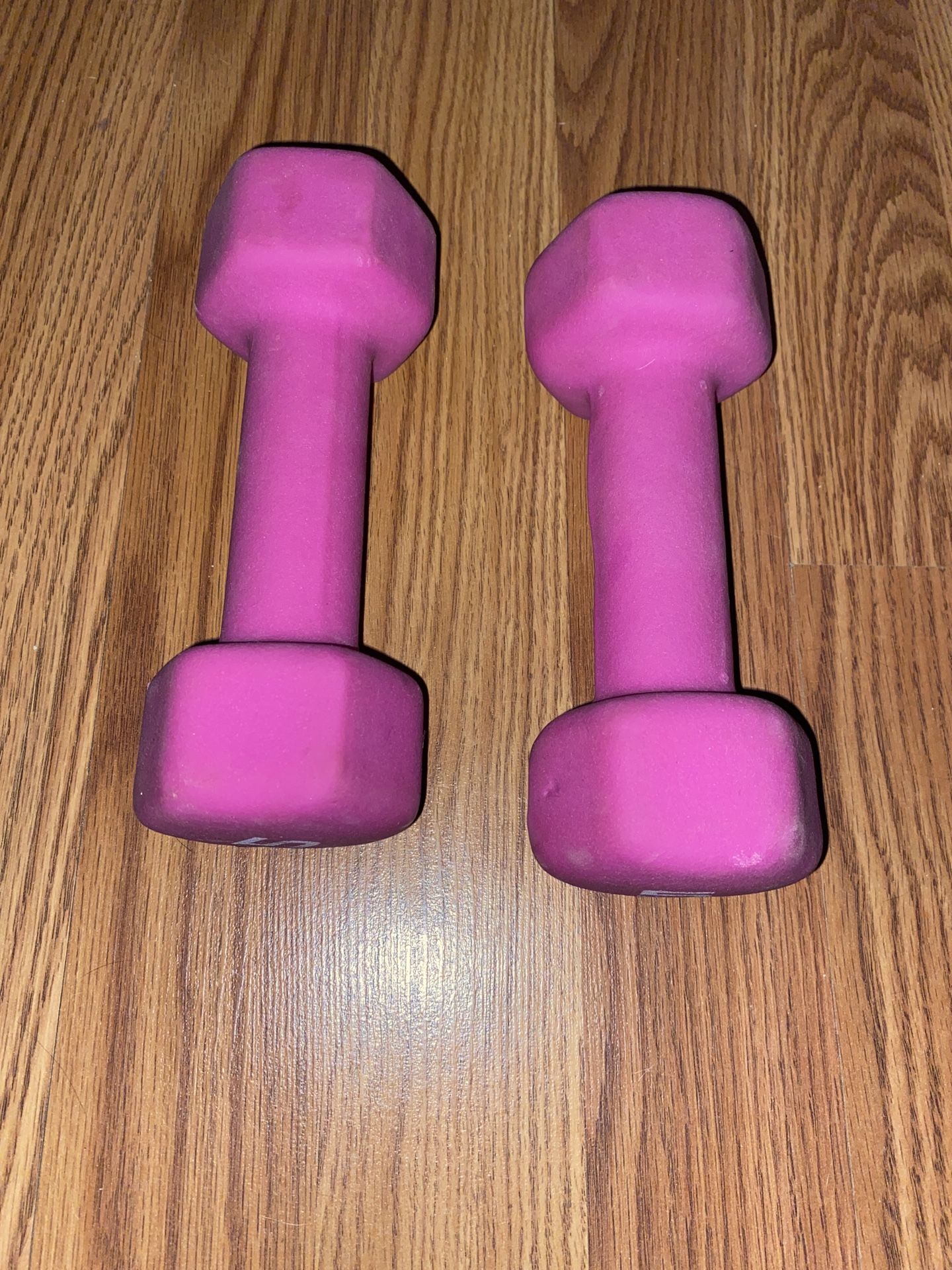 Pair of 5 lb Dumbbells - $5