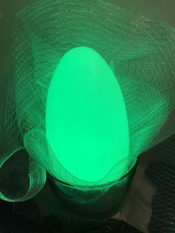 LED LIGHT (retail $48)