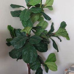 Faux/Fake Fiddle Leaf Fig Plant from Pottery Barn