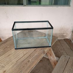 10 Gallon Aquariam