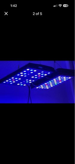 Aquarium Light