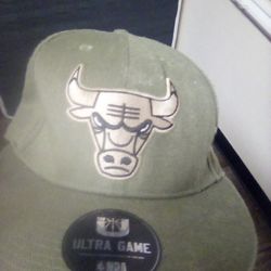 Dark Green Bulls Snap Back