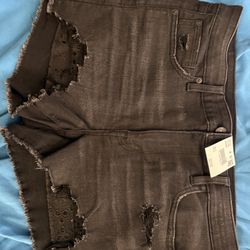 American eagle Shorts Size 12